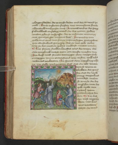 Ulrich von Pottenstein, O Livro da Sabedoria Natural, Egerton MS 1121 f.114v, c.1430 (tinta e cor em pergaminho) 作： German School