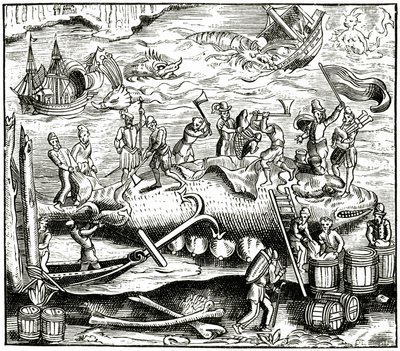 マンステル宇宙飛行士の木版画の後のクジラ釣り、1552年公開 作： German School
