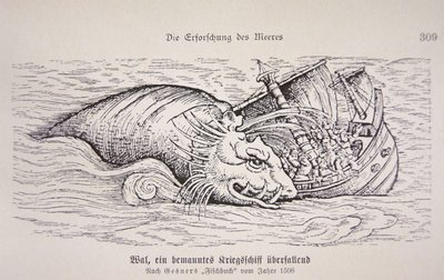 船を襲うクジラ 作： German School