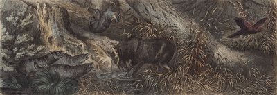 ロシア北部の野生動物（彩色済み彫刻 作： German School