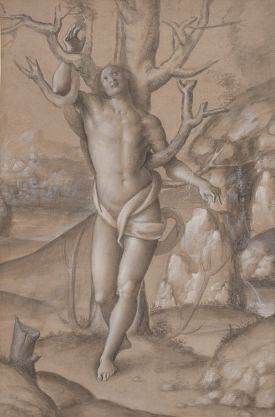 聖セバスチャン、カリフォルニア州。 1524年。 作： Gerolamo Giovenone