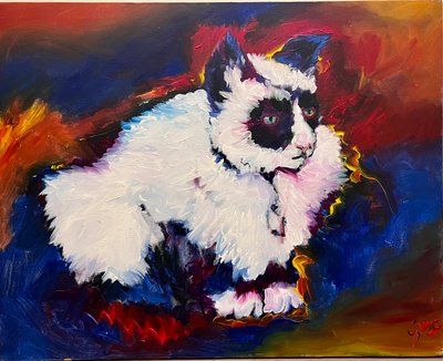 猫のバンジー 作： 