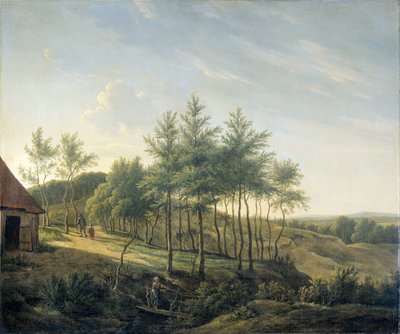 起伏のある風景 作： Gerrit Jan Michaëlis