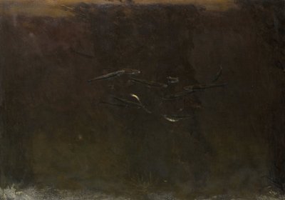 水族館の魚 作： Gerrit Willem Dijsselhof