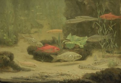 水族館のゴールドフィッシュとシルバーフィッシュ 作： Gerrit Willem Dijsselhof