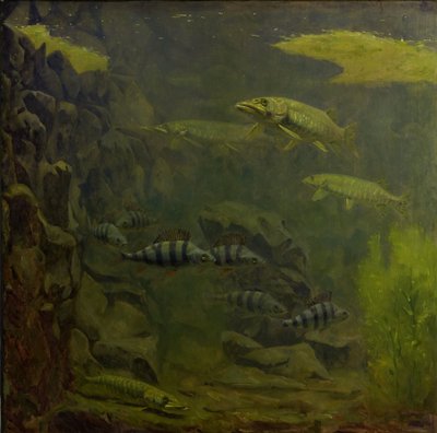 水族館のパイクとパーチ 作： Gerrit Willem Dijsselhof
