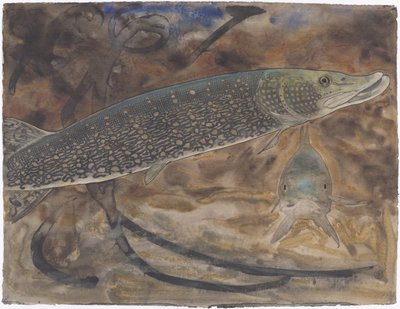 側面と正面から見た水族館の 2 つのカワカマス 作： Gerrit Willem Dijsselhof