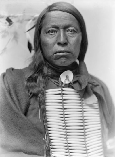 スー族の首長フライングホーク、1900年頃 作： Gertrude Käsebier