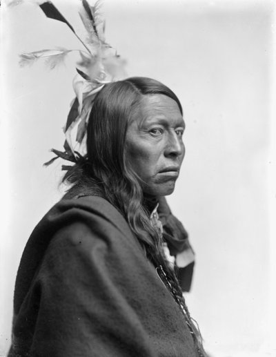 スー族の首長フライングホーク、1900年頃 作： Gertrude Käsebier