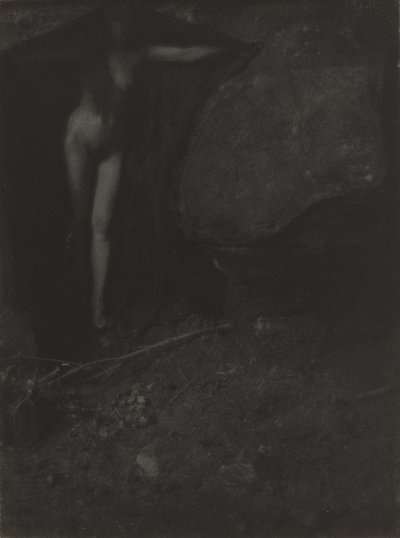 コウモリ、1902年。 作： Gertrude Käsebier