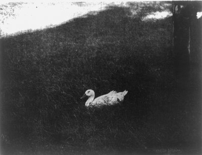 ガートルード・カセビアの「シンプル・ライフ 作： Gertrude Käsebier