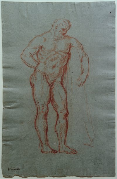 ヘラクレス・ファルネーゼの形に基づいた研究 作： Giacinto Calandrucci