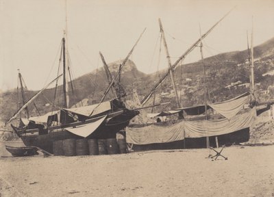 1855年、サレルネ（写真） 作： Giacomo Caneva