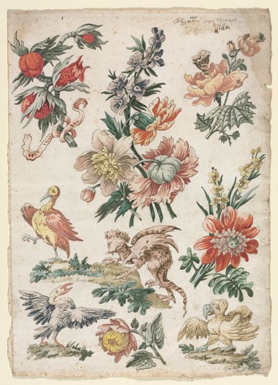 鳥とグリフォンのフローラルデザイン、1784年。 作： Giacomo Cavenezia