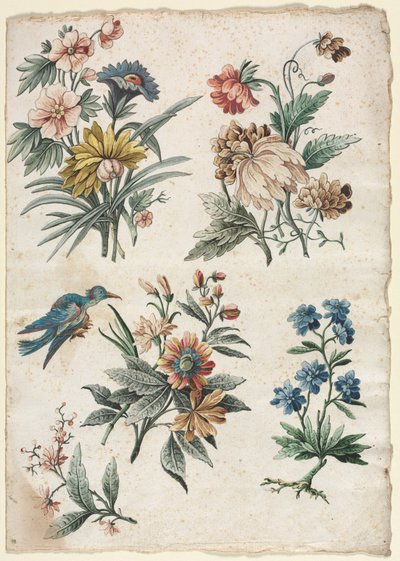 青い鳥と花のデザイン、c。 177374。 作： Giacomo Cavenezia