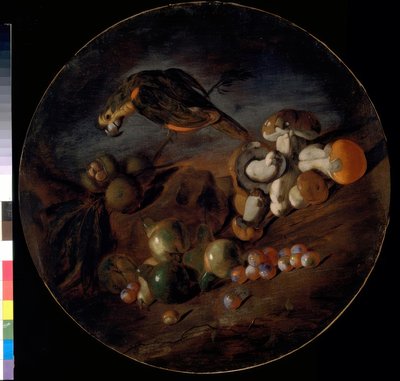 キノコ、果物、オウムのある静物 作： Giacomo Fardella de Calvello