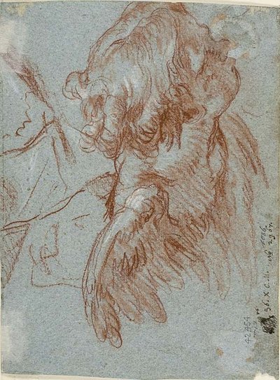 詳細研究: 天使の頭 作： Giambattista Tiepolo