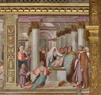 中央身廊、北側第5スパン、神殿でのプレゼンテーション、ジャン・フランチェスコ・ベンボ 作： Gian Francesco Bembo