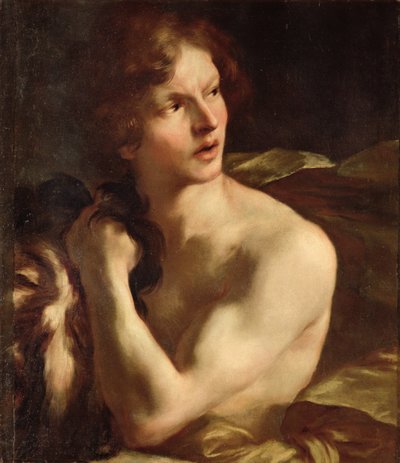 不明な画像 作： Gian Lorenzo Bernini
