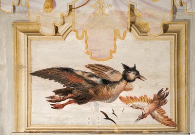 フォレステリアのチャイニーズルームからのエキゾチックな鳥のペア、1757 作： Giovanni Domenico Tiepolo