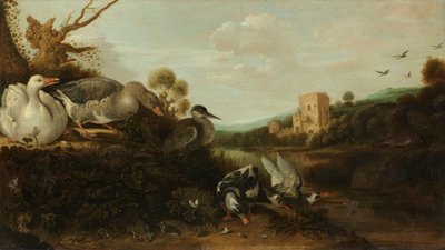 水鳥 作： Gijsbert Gillisz de Hondecoeter