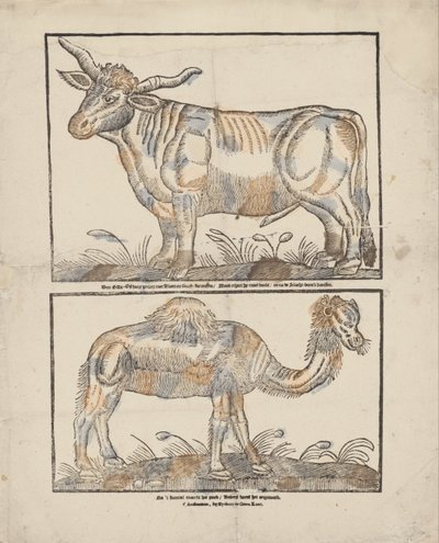 牛とラクダ 作： Gijsbert de Groot Keur
