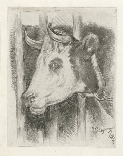 牛の頭 作： Gijsbertus Craeyvanger