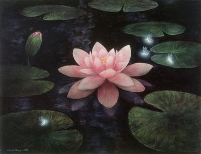 ロータス・スプライト 作： Gilbert Williams