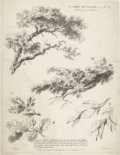 葉のある枝の研究 1er Cahier de Paysage (シリーズタイトル) 作： Gilles Demarteau