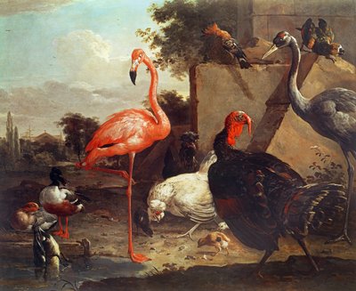 さまざまな鳥 作： Gillis Claesz d