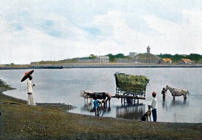 コロンボ、セイロン、c1890 作： Gillot