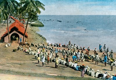 共同の村の食事、アンダマンおよびニコバル諸島、インド洋、c1890 作： Gillot