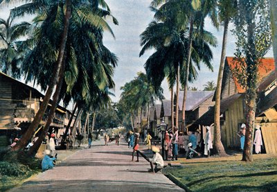 ポートブレア、アンダマンおよびニコバル諸島、インド洋、c1890の通り 作： Gillot