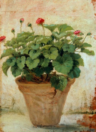 ゼラニウムの花瓶（油彩・キャンバス 作： Gioacchino Toma
