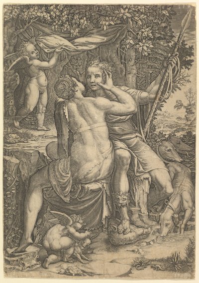 金星とアドニス1570。 作： Giorgio Ghisi