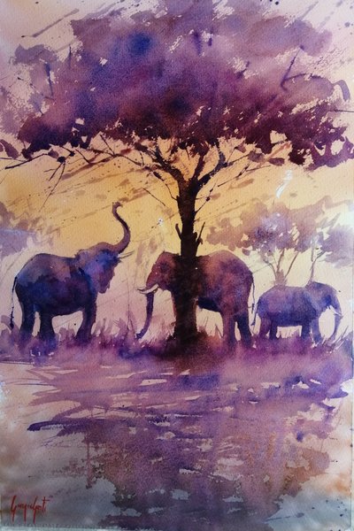 アフリカゾウと紫色の夕焼け 作： 
