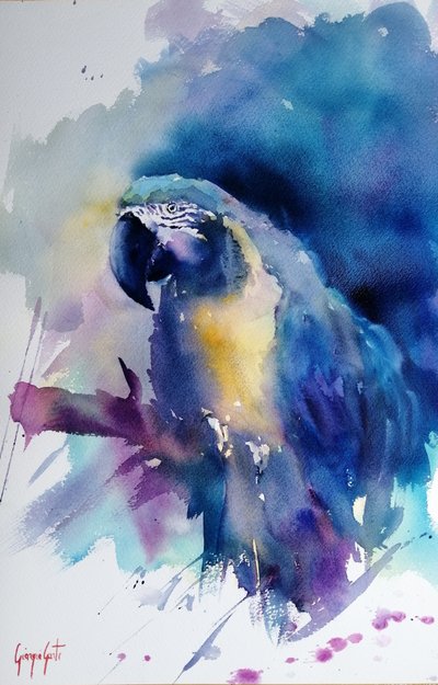 鮮やかな青色のコンゴウインコ 作： Giorgio Gosti