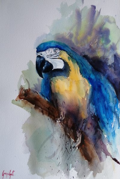 鮮やかなコンゴウインコの肖像 作： 