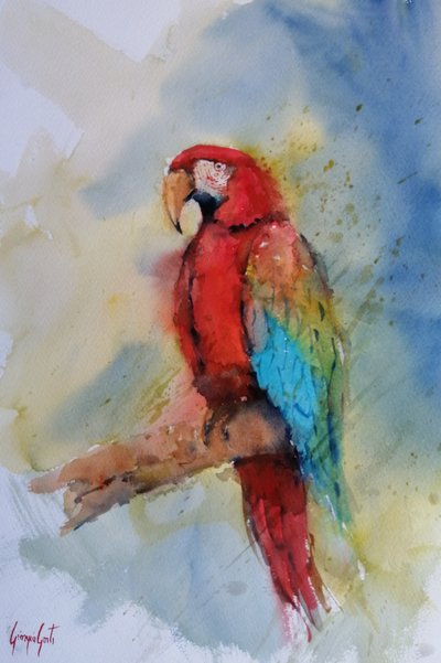 鮮やかな赤のコンゴウインコ 作： Giorgio Gosti