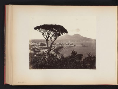 フォア グラウンドで松の木とナポリ、イタリアのビュー Panorama dal Vomero Napoli (オブジェクトのタイトル) 作： Giorgio Sommer