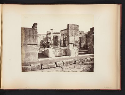 イタリア、ポンペイのカサ ディ サルスティオの遺跡の眺め Casa di Salustio Pompeii (オブジェクトのタイトル) 作： Giorgio Sommer