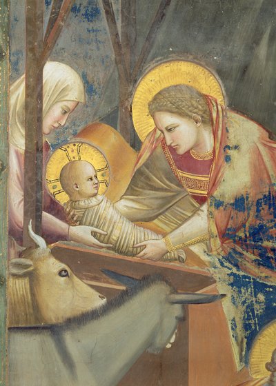 キリスト降誕》1305年頃（フレスコ画）（65197の詳細） 作： Giotto (c.1266 1337)