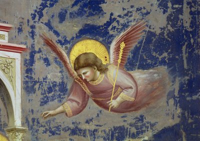 神殿におけるキリストの奉献》より 天使 1305年頃（フレスコ画）（65195の細部） 作： Giotto (c.1266 1337)