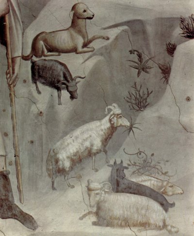 ヨアヒムの生涯の情景：5.ヨアヒムの夢

 詳細 作： Giotto