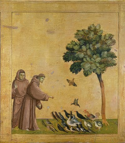聖フランシスは鳥に説教します。約1295-1300（プレデラ、画像番号19398も参照） 作： Giotto di Bondone
