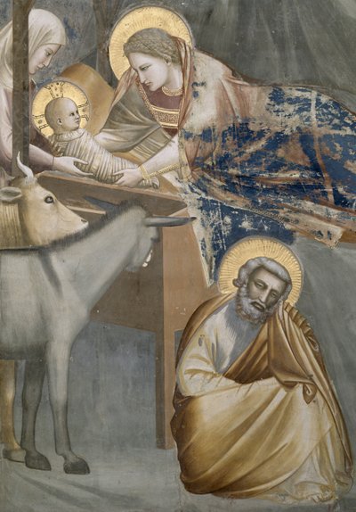 キリスト降誕、聖母子の詳細、ロバとジョセフ、1303-05（復元後） 作： Giotto di Bondone