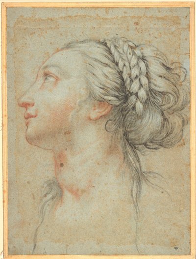 左の横顔の若い女性の頭 作： Giovan Battista Vanni