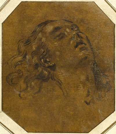 女性の頭 作： Giovan Gioseffo dal Sole