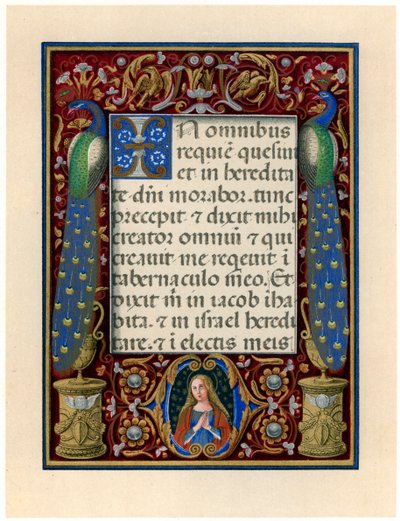 聖母と 2 羽の孔雀のテキスト ページ、c1490 作： Giovan Pietro Birago