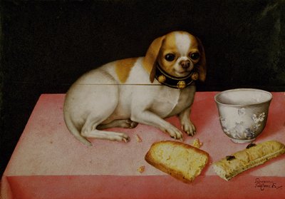 犬の肖像（油彩・キャンバス 作： Giovanna Garzoni